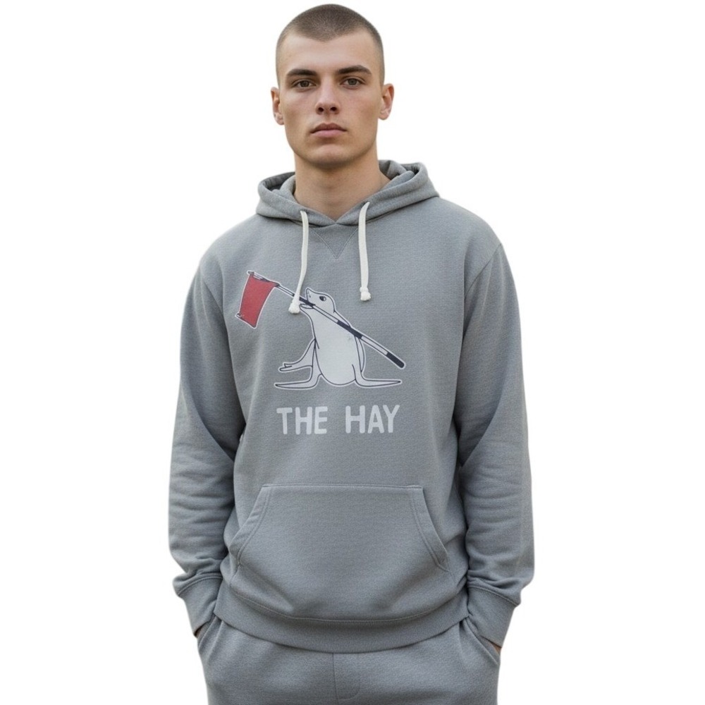 Alternative‎ Apparel Mens Gray The Hay Seal Graphic Hoodie Sweatshirt Small